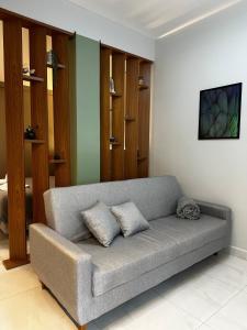 a living room with a gray couch with two pillows at Studio com Garagem, Térreo com Acesso privativo e WIFI, a 5 Minutos do Centro in Poços de Caldas