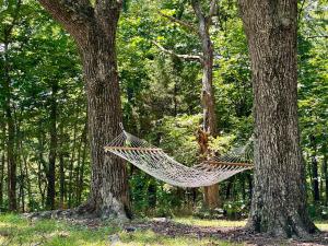 Zahrada ubytování Kitschy Kottage