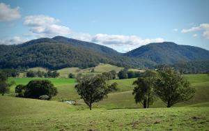 un champ verdoyant avec des arbres et des montagnes en arrière-plan dans l'établissement Agape Grove Digital Detox Farm, 