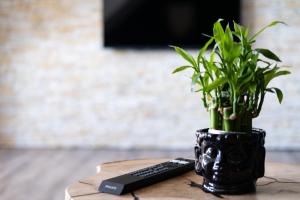 Gambar di galeri bagi Nature Terminal Apartment di Steinenbronn +19 gambar