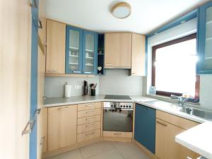 una pequeña cocina con armarios azules y una ventana en BohèmeNest Terminal Apartment, en Waldenbuch