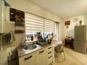 a kitchen with a sink and a refrigerator at Coresi Escape Studio in Sînpetru