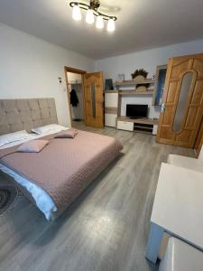 a bedroom with a large bed and a kitchen at Aparthotel Brasov Neptun in Braşov