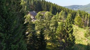 ラプートロワにあるAuberge de l'étang du devinの森の中の家屋