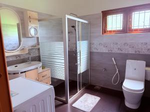 a bathroom with a shower and a toilet and a sink at Transit villa 10 minutes drive from the Airport in Katunayake