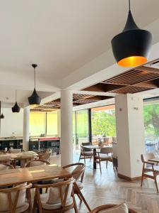 Nhà hàng/khu ăn uống khác tại Pino Boutique Hotel