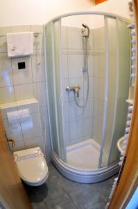 uma casa de banho com um chuveiro e um WC. em Guest accomodation Lovacka kuca em Grdak