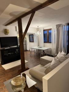 TV a/nebo společenská místnost v ubytování ROYAL Apartment + 13 fotografií