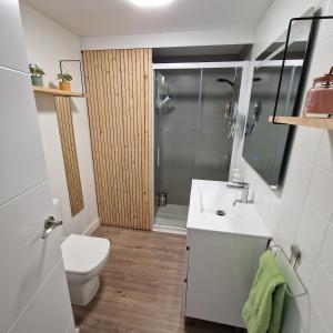 ein Badezimmer mit Toilette, Waschbecken und Dusche in der Unterkunft Apartamento con vistas al mar y montaña - Piscina in Santa Susanna