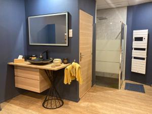 une salle de bain avec lavabo et douche dans l'établissement Appartement avec spa privatif, à Douai