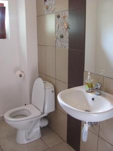 bagno con servizi igienici e lavandino di Casa Roatis a Şişeşti