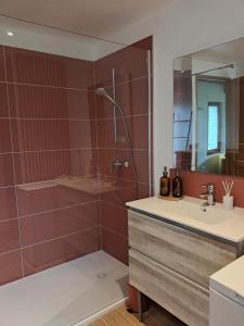 a bathroom with a shower and a sink and a mirror at Cottage normand, gîte à la campagne, au calme in Selles +31 photos