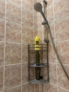 a shelf in a shower with a shower head at Slāvu Dzīvoklis in Rīga