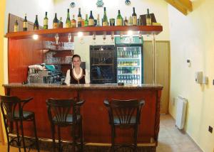 a woman behind a bar with bottles of alcohol at Guest accomodation Lovacka kuca in Grdak