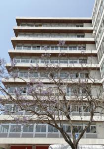 un edificio alto con un albero fiorito davanti di Lisbon Serviced Apartments - Alvalade a Lisbona