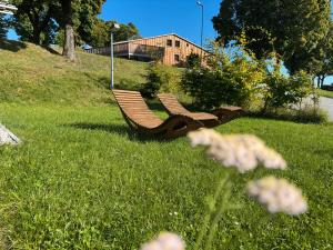 2 bancs de parc assis dans un champ d'herbe dans l'établissement Haus Laura, à Gottsdorf