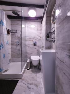 a bathroom with a shower and a toilet and a sink at The Courtyard Lodge in Hitchin