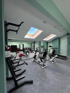 un gimnasio con un montón de pisadas y elípticas en Hotel Aurora, en Satu Mare