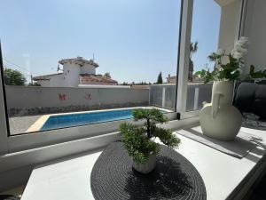a table with two plants on a balcony with a pool at Casa Alta - villa med privat svømmebasseng in Ciudad Quesada
