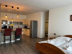 Un dormitorio con una cama y una cocina con encimera. en Rohrbacher Herz II, en Berg bei Rohrbach