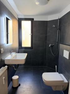 een badkamer met een wastafel, een toilet en een douche bij BIELEFELD CITY APARTMENTS - Cozy in Bielefeld