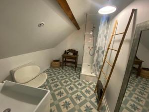 a bathroom with a toilet and a shower at Appartement cosy in Besançon