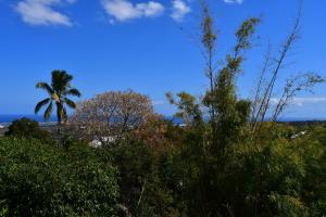 una palma, alcuni alberi e un cielo azzurro di Villa Kokoro a Saint-Paul
