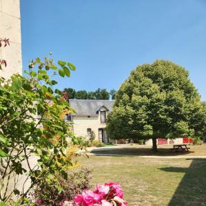 a house with a tree and a bench in the yard at Le prieuré in Raslay
