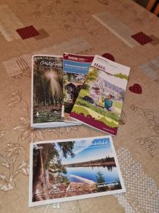 Gallery image of Ferienwohnung Berghexe 438 mit Pool & Sauna in Hohegeiß-Braunlage in Niederdorla