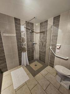 a bathroom with a shower and a toilet at Gîte du séchoir in Bouresse +11 photos