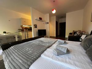 a large bed with two pillows on top of it at 13StudioBv in Braşov