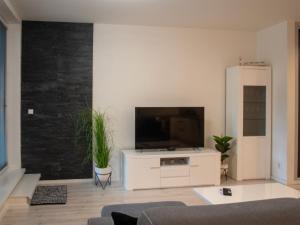 Μια τηλεόραση ή/και κέντρο ψυχαγωγίας στο Apartmán s terasou Zvolen