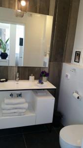 La salle de bains est pourvue d'un lavabo, de toilettes et d'un miroir. dans l'établissement Tel Aviv Roof Apartment, à Tel Aviv