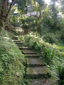 a set of stone steps going up a hill at Yonzon lha dhim in Pelling