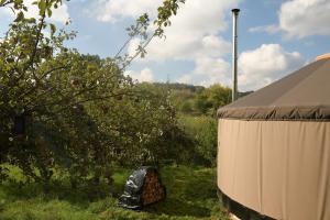 una tienda de campaña en el césped junto a un manzano en 02 JURTA hnědá v jablečném sadu, 
