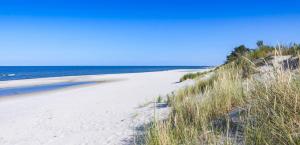 a sandy beach with the ocean in the background at Camper Bros - wynajem przyczepy na półwyspie, 10m od plaży, klimatyzacja in Jastarnia