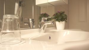 a bathroom sink with a faucet and a plant on it at Urlaub mit Alpakas in Sabrodt