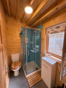 a bathroom with a toilet and a glass shower at The Cabin at Box Cottage in Somerton
