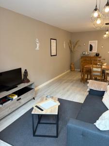 a living room with a blue couch and a table at Appartement centre ville in Langres +11 photos