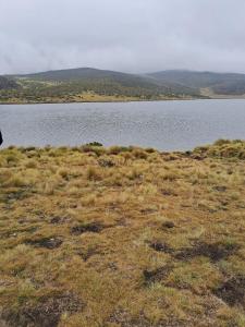 a field of grass with a body of water at Nancy's Farm House in Chuka