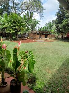a view of a yard with a field of grass at Nancy's Farm House in Chuka