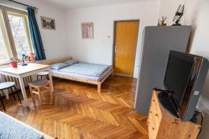 a living room with a bed and a tv in it at Chalupa u Hejsků in Jilem