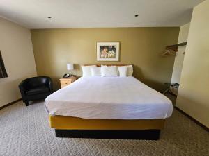 Postel nebo postele na pokoji v ubytování Budget Host Inn & Suites