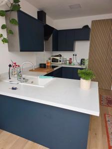 a kitchen with blue cabinets and a white counter top at Bee Hive Studio Flat in Manchester