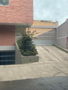 a plant in a planter on the side of a building at apartamento miniluxxury in Barranquilla