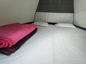 Ένα ή περισσότερα κρεβάτια σε δωμάτιο στο Chandubi Eco Camp of wave Ecotourism