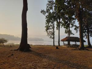 Φυσικό τοπίο κοντά σε αυτό το κάμπινγκ