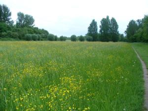 Naturlandschaft in der Nähe der Ferienwohnung