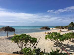 Φυσικό τοπίο κοντά σε αυτό το δωμάτιο σε οικογενειακή κατοικία