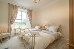 a bedroom with two beds and a window at Ficerdy in Llanwnda